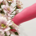 KissProwl clitoral stimulators product image 1