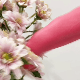 KissProwl clitoral stimulators product image 1